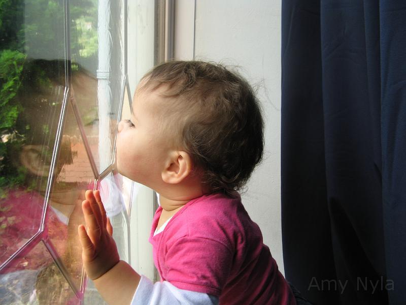 2008_06_02 (13).JPG - mmmm, kissing the window...